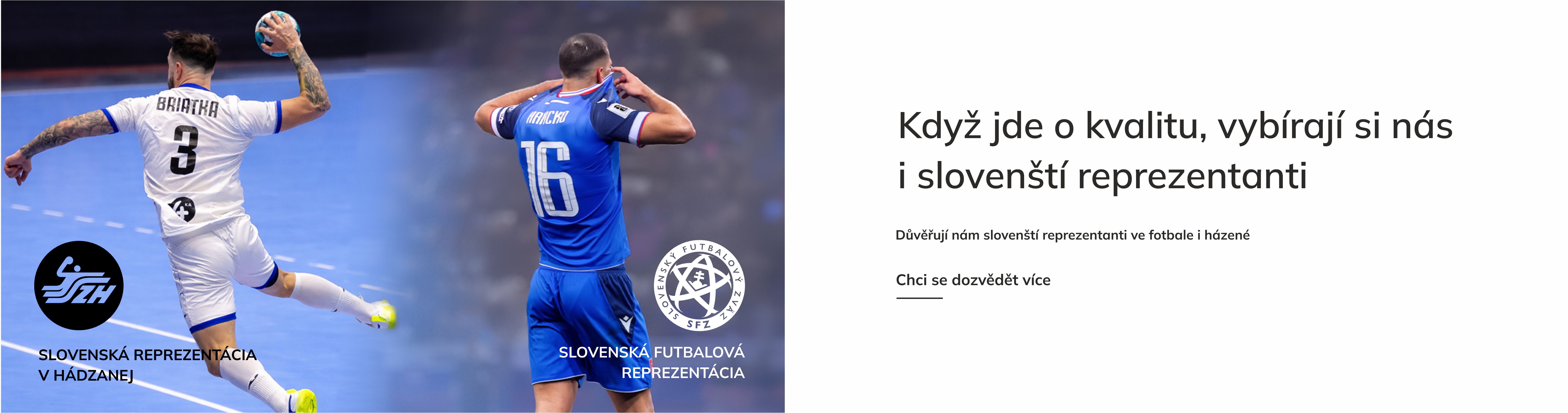 Slovenská reprezentace